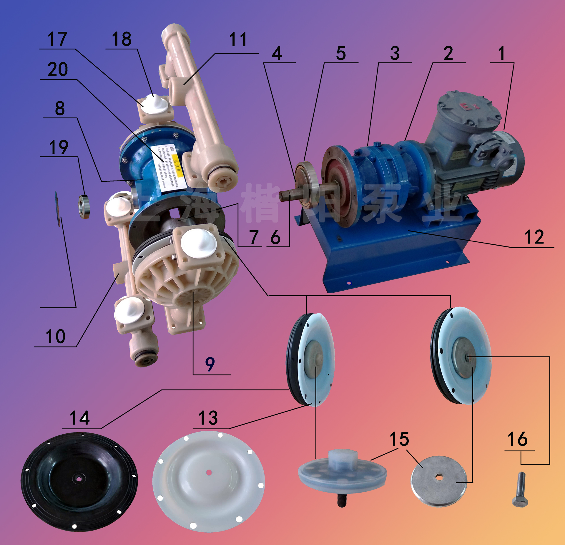 電動隔膜泵維護(hù)內(nèi)容1