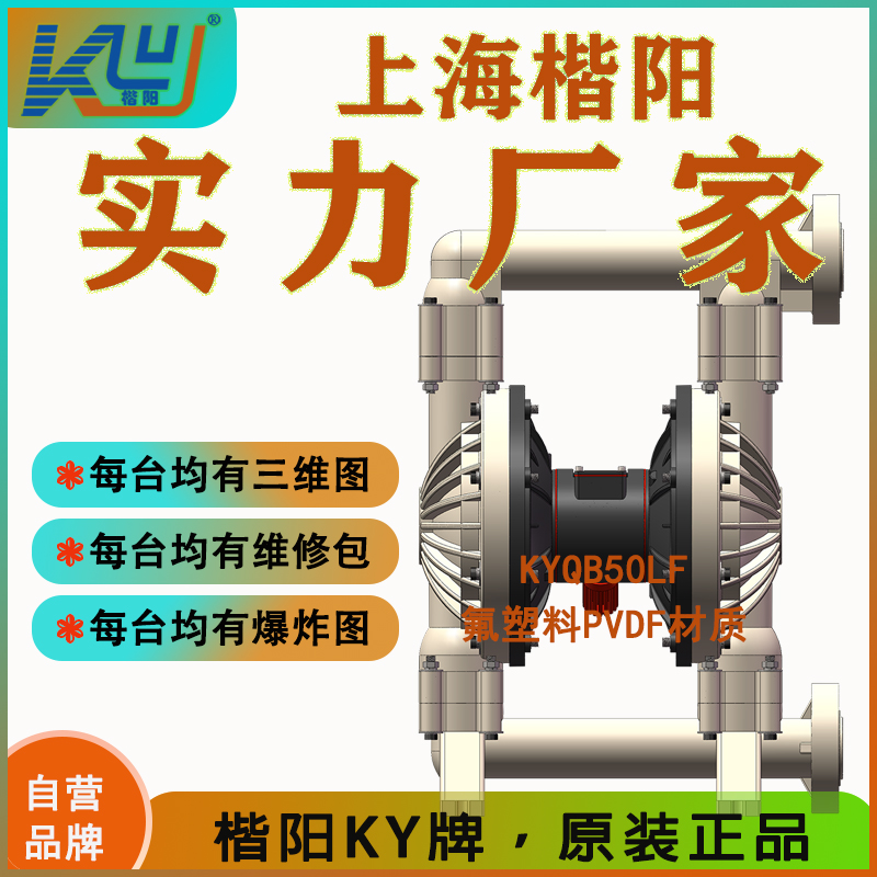 KYQ實用款-氟塑料氣動泵3