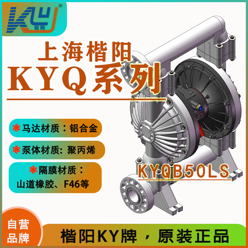 KYQ實用款-塑料氣動雙隔膜泵4